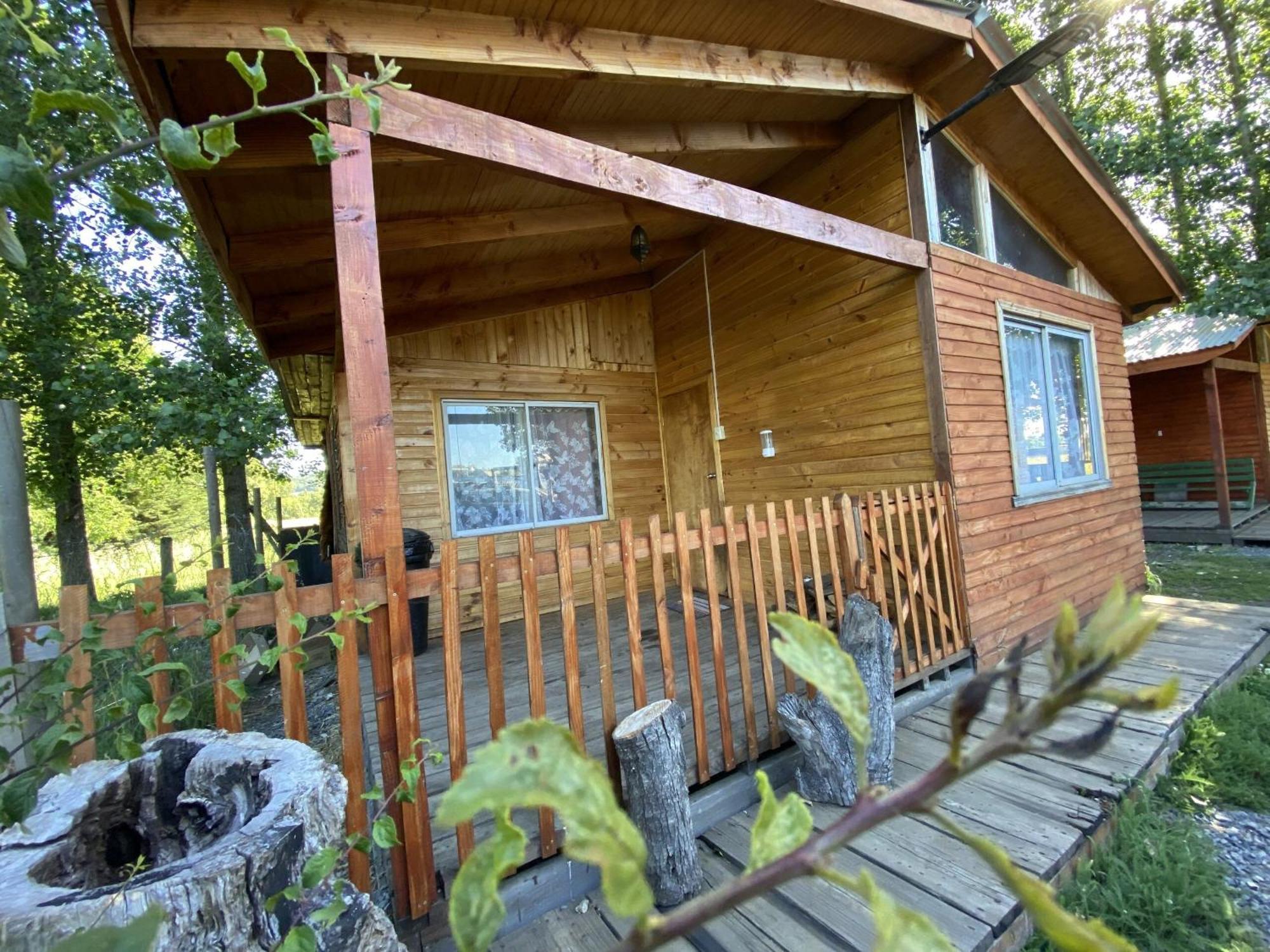Apartment Ecosur - Chile Curacautin